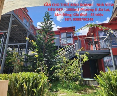 CẦN CHO THUÊ KINH DOANH -  NHÀ VIEW SIÊU ĐẸP - 1000m2 Phường 6 ,Đà Lạt, Lâm Đồng